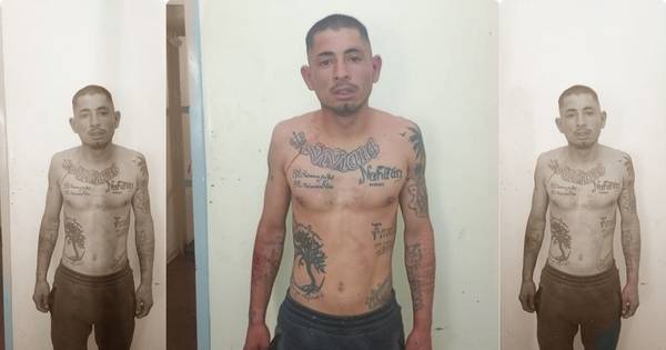 Cayó un reconocido delincuente por robarle el celular a una mujer