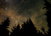 Keep your eyes on the skies: Annual Perseid meteor shower set to peak tonight