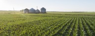 USDA Ordered to Restore Terminated Grants to Farmers, Nonprofits