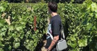 Este es el precio de la bolsa de Peso Pluma de RIMOWA que todos quieren
