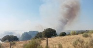 Incendio forestal declarado en Gallegos de Argañán
