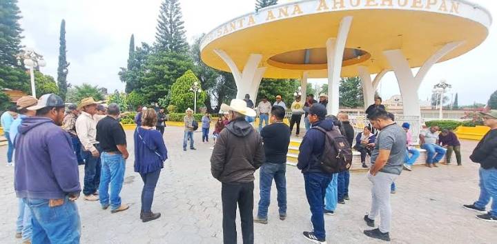 Radicalizan protestas por lirio y mosco Cúlex