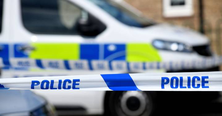 Teenager charged with attempted murder after Kingswood stabbing
