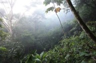 Biosfera en peligro: estudio revela riesgo en el 60% de la tierra