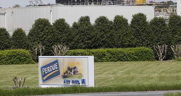 Judge allows perdue farms PFAS pollution lawsuit
