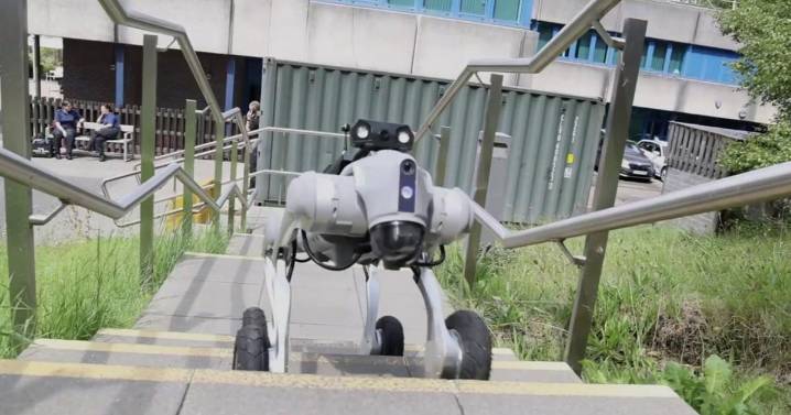Police force tests out futuristic robot dog