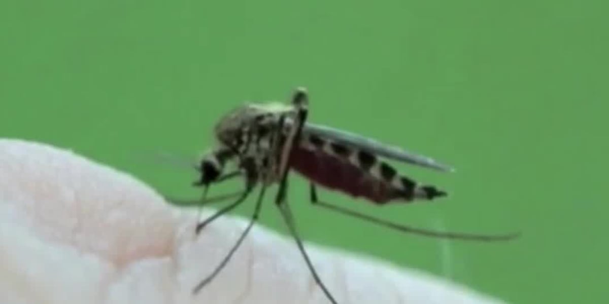 Health Department schedules spraying after West Nile Virus discovered
