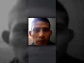 Reckless sanctuary laws result in needless death of innocent American