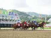 La Rinconada se vestirá de Gala el 14 de diciembre