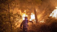 Cifras impactantes en la Unión Europea: más de un millón de hectáreas fueron arrasadas por los incendios