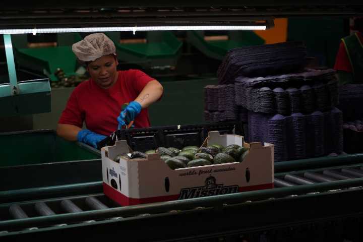 Inversión, empleo y salario, ruta para reducir la pobreza: Coparmex