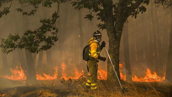 La Fiscalía de Medio Ambiente investiga si los municipios afectados por los incendios tienen planes de prevención