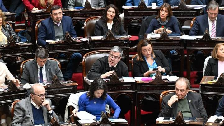 Diputados rechazó el veto de Milei a la ley de emergencia en discapacidad