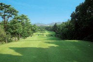 Woman Loses Arm in Tragic Golf Course Accident: ‘Not Able to Talk’