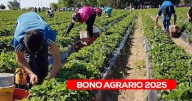 ¿Quiénes podrán cobrar el nuevo subsidio de 1,000 soles enviado por el Gobierno? Esto es lo último que se sabe