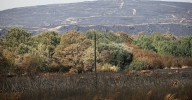 ¿Qué supone la declaración de “zona catastrófica” por los incendios en Ourense?