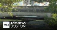 Part of Muddy River closed in Boston due to cyanobacteria