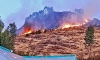 Incendio forestal de gran magnitud afecta a comunidad de Taquebamba en Tintay