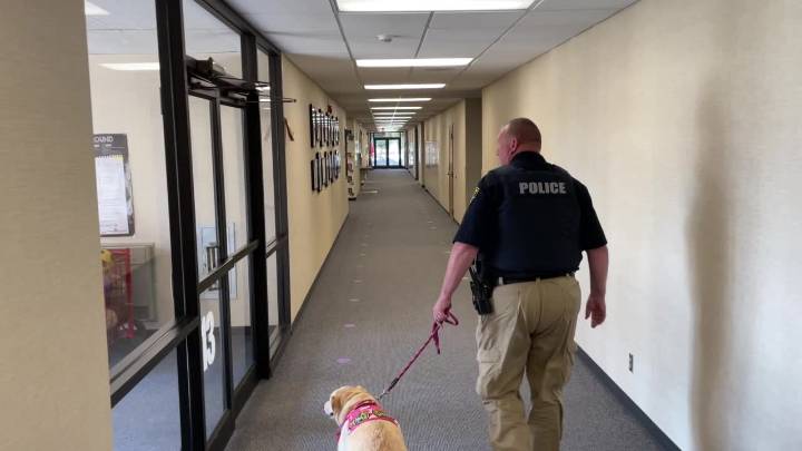 Comfort K-9 Program Creates Emotional Outlet for West Fargo Students
