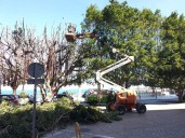 El Ayuntamiento inicia un servicio de tarde para la limpieza de los espacios verdes de la ciudad