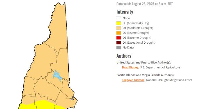 Almost all of New Hampshire is in a drought. That’s tough for fish