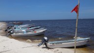 Confirman marea roja en Yucatán: activan medidas sanitarias en la costa