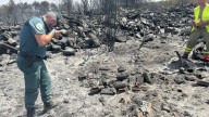 Rayos, negligencias, efecto lupa... las causas de los incendios que azotan España