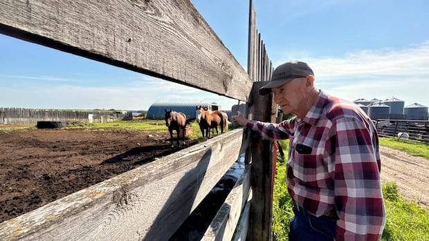 Alberta farmers in this conservative stronghold feel conflicted as Battle River
