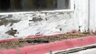 Ohio cuts money to help lead-poisoned children
