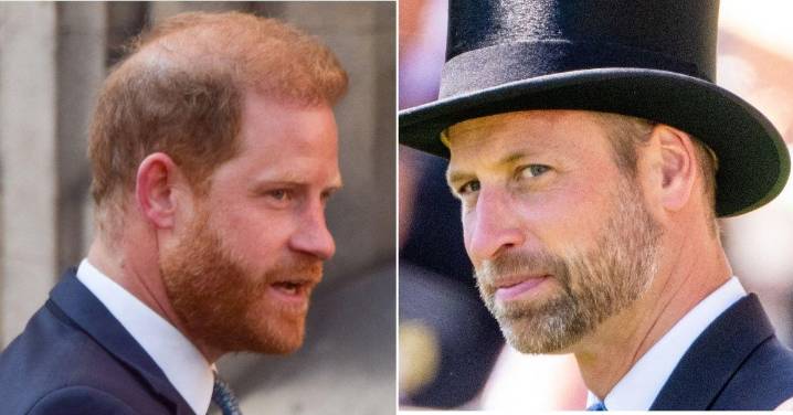 Prince William Snubs Offer To Meet Up With Brother Harry On U.K. Trip