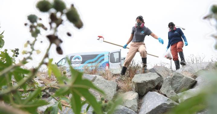 The stench from the polluted Tijuana River is so bad it kept a researcher up at night