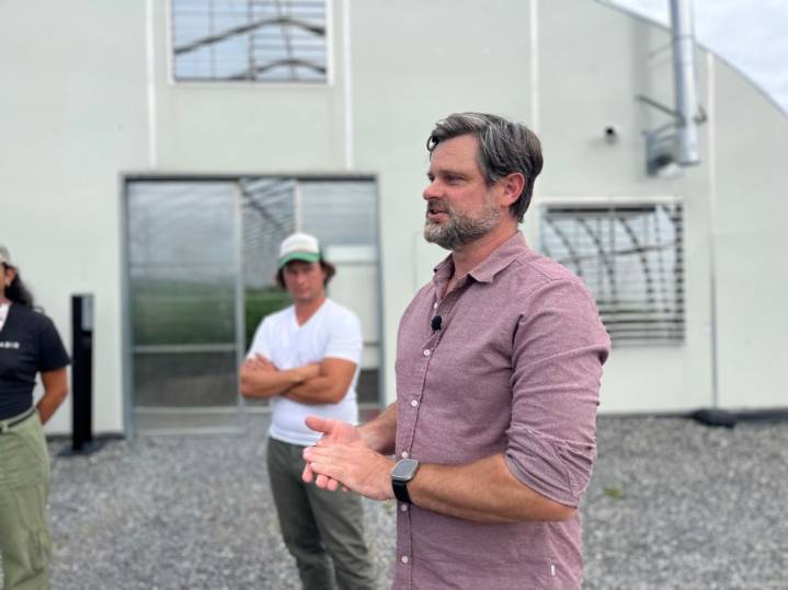 A look inside cannabis cultivation as seed