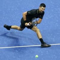 Djokovic overcomes Norrie to make US Open last 16