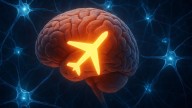 El cerebro tiene un “modo avión” para dormir sin bajar la guardia