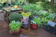BREAKING GROUND: It’s time for fall cleanup in the garden