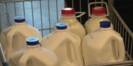 Workers go on strike at Le Mars dairy plant due to working conditions