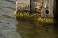 Health department lifts algae advisory for North Lake