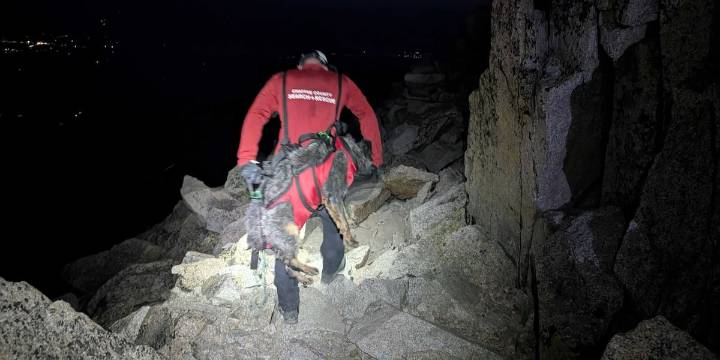 A pawsitively pawsome rescue! Colorado search and rescue team saves dogs stuck on 14er
