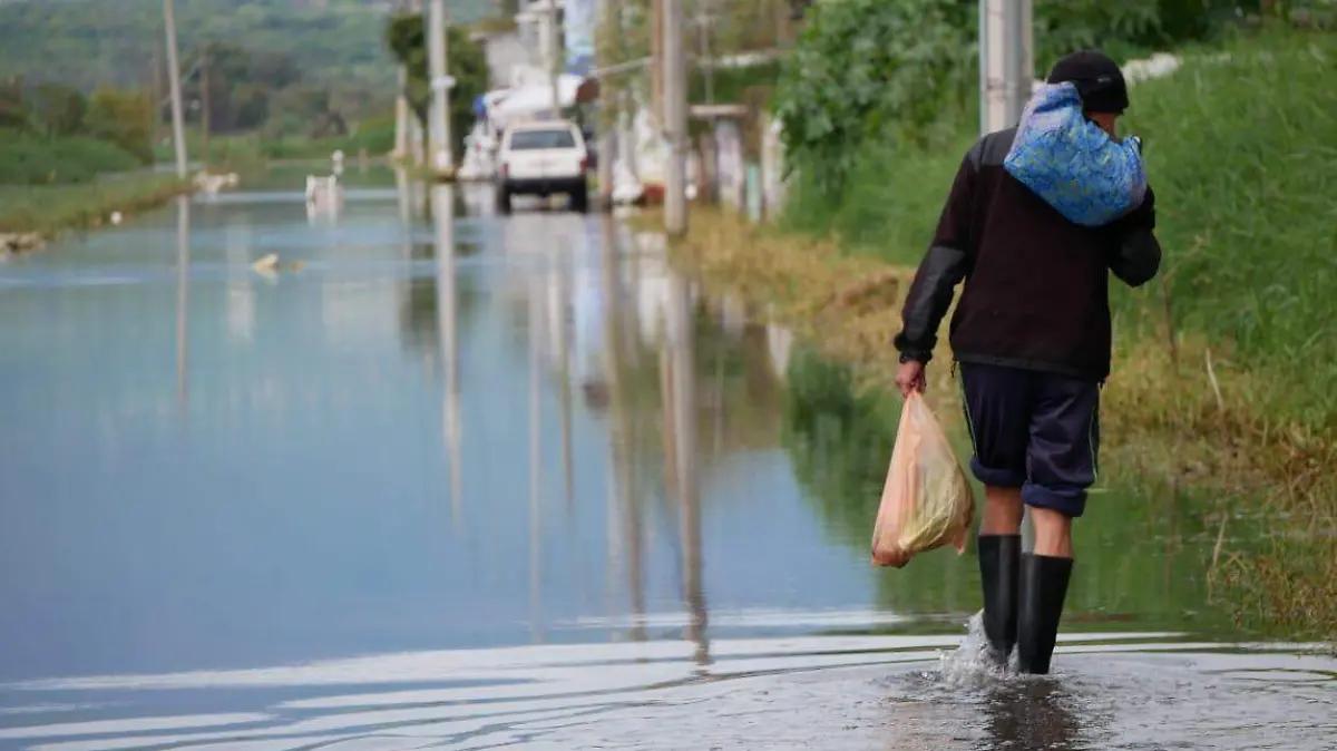 Se desborda Río Lerma en La Piedad casas y cultivos quedan inundados