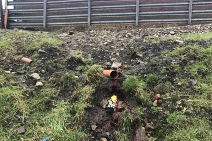 Riley Foods Limited sentenced for illegal water pollution