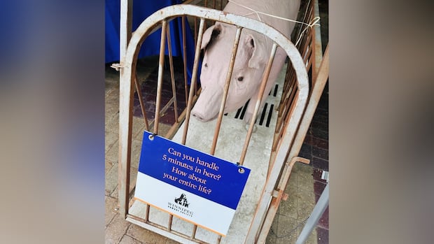 Humane Society asked to leave Hanover fair over papier mâché pig, human