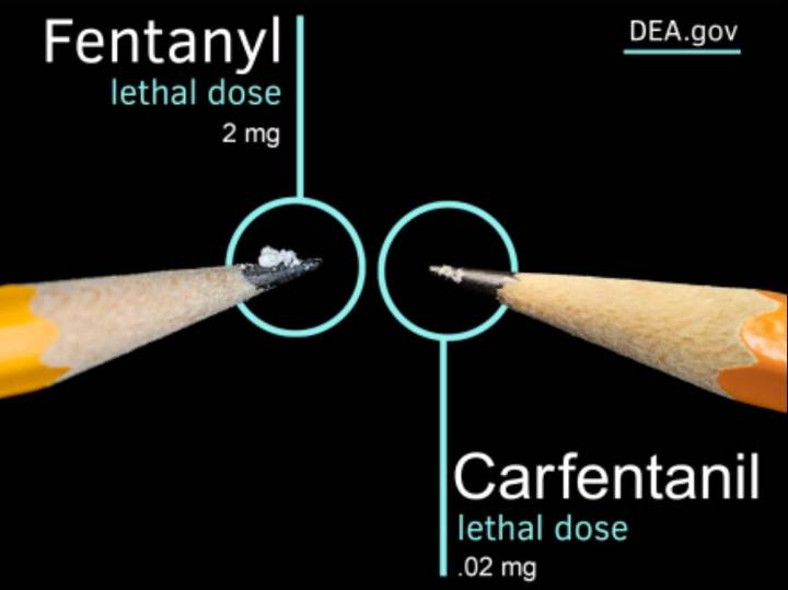 Alertan por peligroso opioide