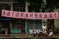 China’s chikungunya outbreak signals a warning for Milwaukee’s public health gaps and economic risks