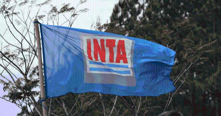Javier Milei pasó a «disponibilidad» 300 trabajadores del INTA