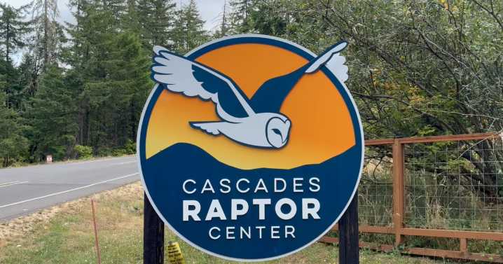Cascades Raptor Center acquires two new baby owls, who will join their ambassador team