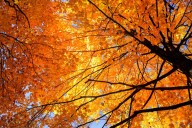 NOAA releases fall weather predictions for New York as La Niña looms