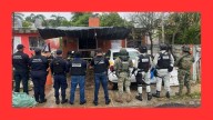 Aseguran drogas y armas en operativos en Cancún, Chetumal y Tulum