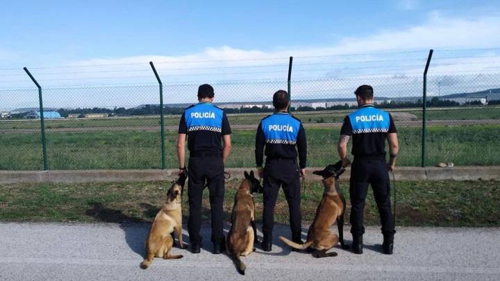 Localizado con vida un hombre del centro psiquiátrico desaparecido gracias a Martina, una perra del equipo de rescate