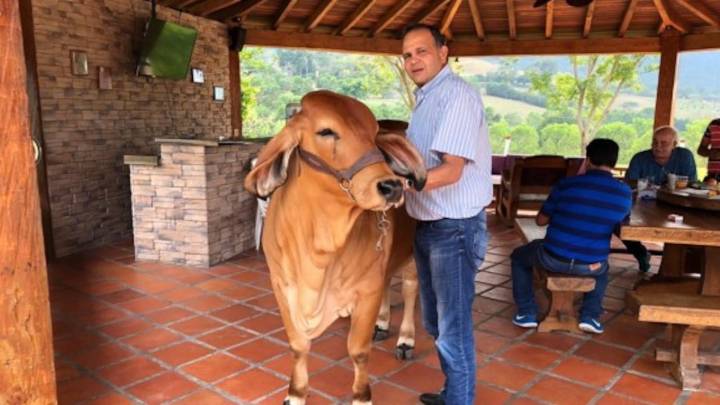 Tribunal ordena investigar irregularidades en la entrega que hizo el Gobierno Petro del finca del Ñeñe Hernández en el Cesar