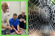 Kevin Weiner Is Changing How We View Brown Recluse Spiders